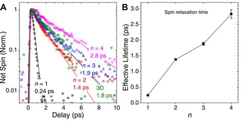 20 Effective Spin Lifetime Vs Dimensionality A The Kinetics Of