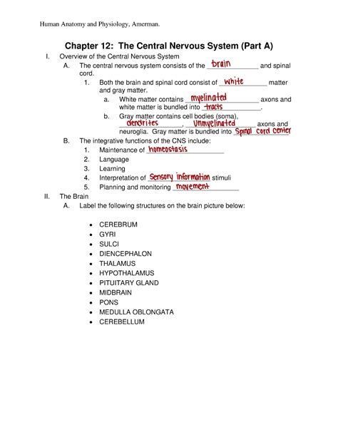 Bio Chapter Outline Notes Amerman Part A Chapter The