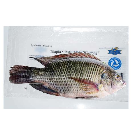 Jona Tilapia 800gr Up 4 Kg Atiab Food AB