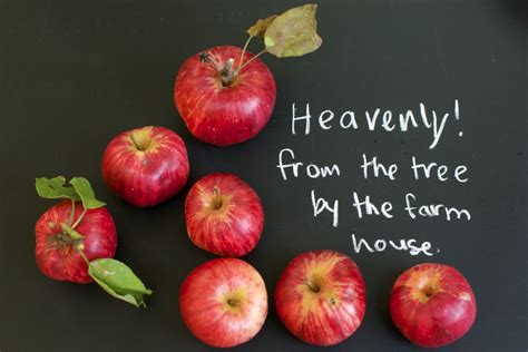 Heirloom Apple Orchard Identification Project