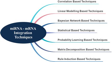 Frontiers MiRModuleNet Detecting MiRNA MRNA Regulatory Modules