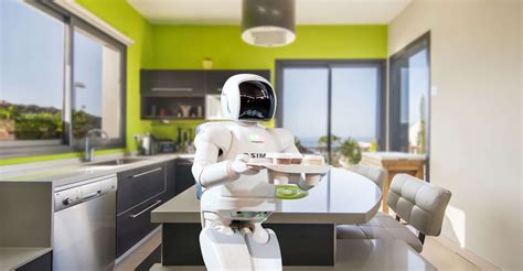 The Domestic Robot From Dream To Reality Archyde