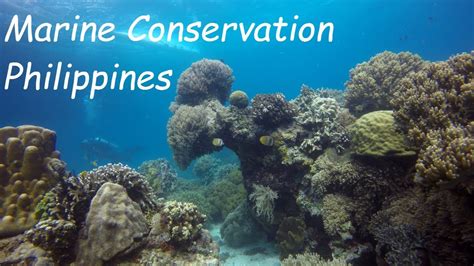 Marine Conservation Philippines 2017 YouTube