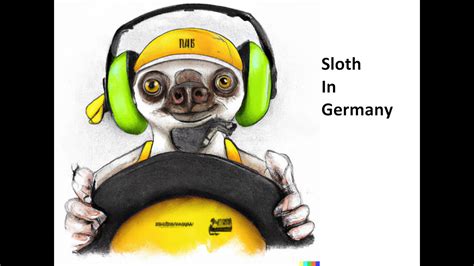 Sloth In Germany VR Dirt Rally 2 0 RTX 4090 Dirt Rally 2 0 YouTube