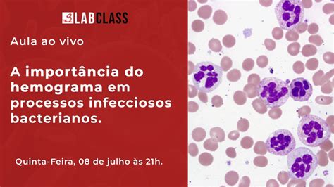 A Importância Do Hemograma Em Processos Infecciosos Bacterianos Youtube