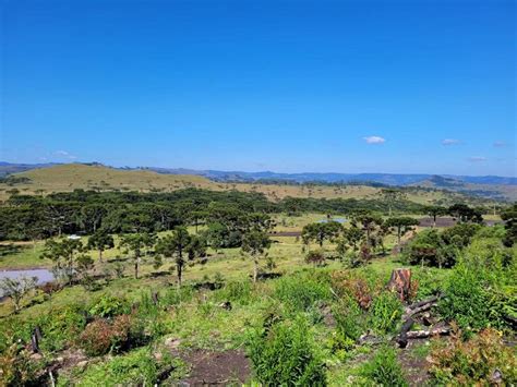 Fazenda S Tio M Em Zona Rural Em Urubici Por R Viva Real