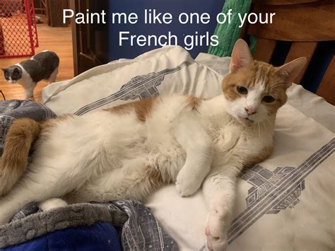 Draw Me Like One Of Your French Girls Cat