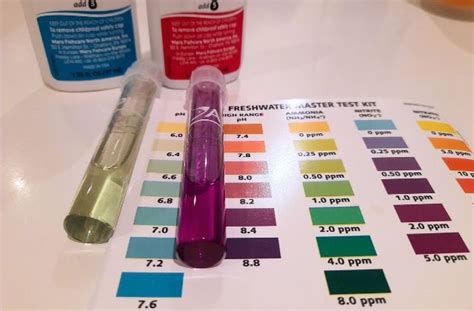 Best Aquarium Water Test Kits To Choose From The Aquarium Guide