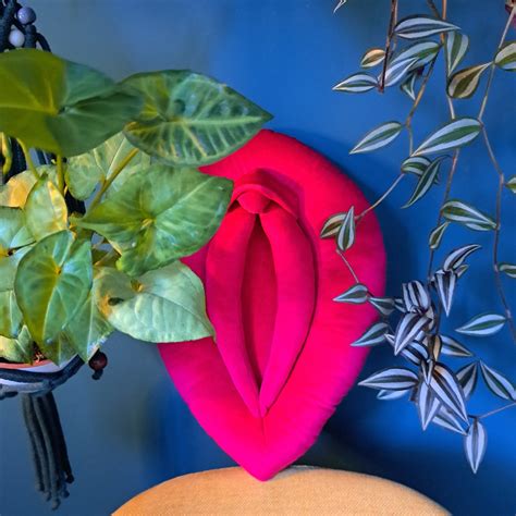 Vulva Pillow Intense Pink Vulva Puppet Sex Education Vagina Etsy