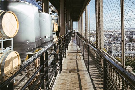 Inside the Eiffel Tower winery overlooking Paris - Decanter