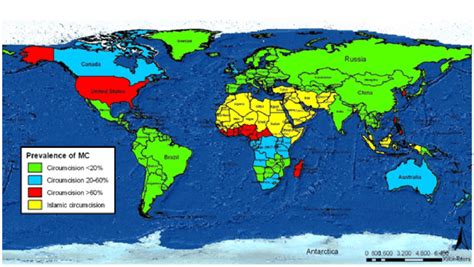 Global Prevalence Of Male Circumcision Source Hankins 2006