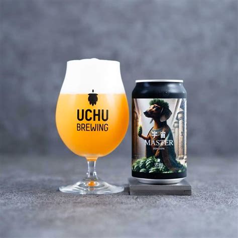 master ddh dipa spice