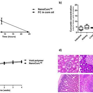 In Vivo Pharmacokinetics Biodistribution And Toxicity Analysis Of