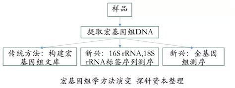 新风口丨病原微生物宏基因组检测 Mngs 小桔灯网 Iivd Net