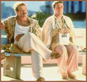 The Birdcage Nathan Lane Quotes. QuotesGram