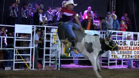 ESTAN DE VUELTA Y REGRESARON MAS FUERTES QUE NUNCA Rancho El Capire En