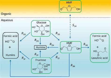 Proposed Reaction Network For The Conversion Of Fructose Glucose