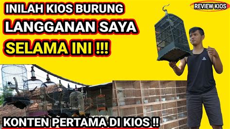 Disinilah Kios Langganan Saya Selama Ini Review Kios Burung