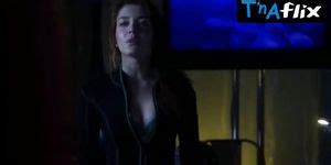 Elena Satine Breasts Bikini Scene In Smallville Tnaflix