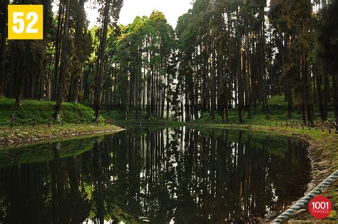 Lamahatta, Darjeeling - Most Romantic Destination Near Darjeeling