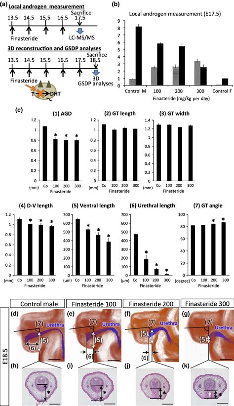 Systematic Analyses Of Murine Masculinization Processes Based On Genital Sex Differentiation