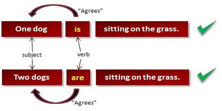 grammar rules subject  verb agreement assignment point