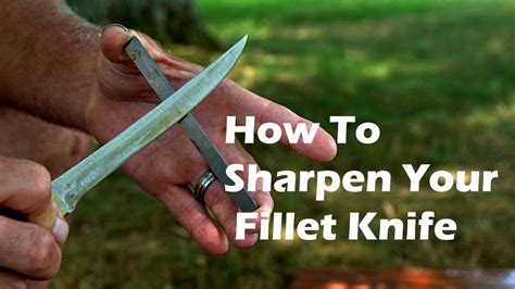 How To Sharpen Your Fillet Knife Fillet Knife Features Of The Fillet