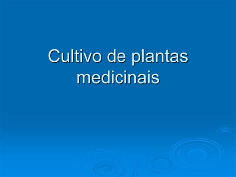 A2 O Cultivo De Plantas Medicinais Ppt