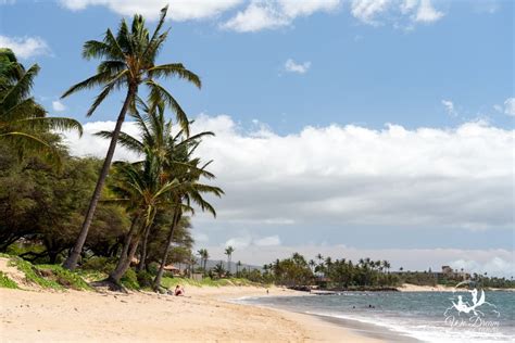 🏝 All 15 Kihei Beaches Explained: The Ultimate 2024 Guide ⋆ We Dream of ...