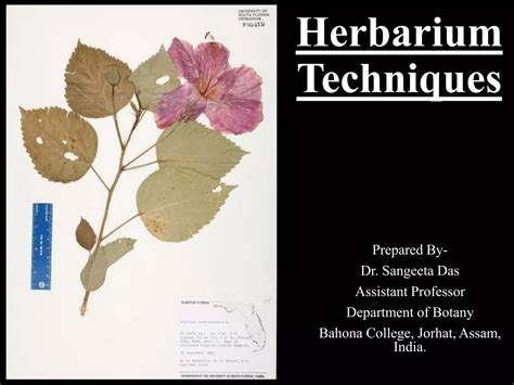 Herbarium Techniques | PPT