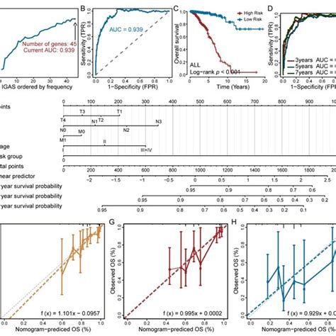 Construction And Validation Of The Igas Prognostic Model In Predicting