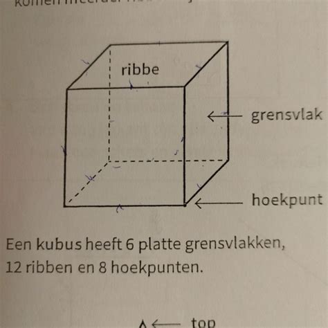 Wiskunde Flashcards Quizlet