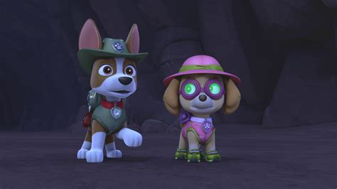 Watch Paw Patrol Season 7 Episode 26 Paw Patrol Pups Save