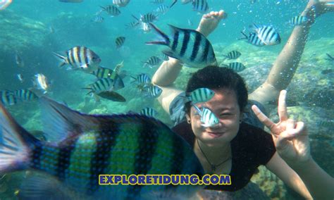 Daftar Paket Wisata Pulau Tidung Kepulauan Seribu Selatan Wisata