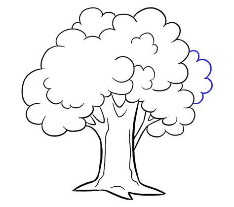 tree  drawing  paintingvalleycom explore collection  tree