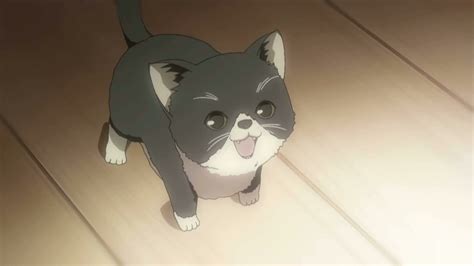 Top 20 Cute Anime Pets You Wish You Could Have