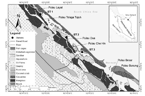 Abundance Of Three Coexisting Gastropod Species Cerithidea Cingulata