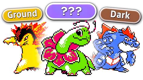 What If The Johto Starters Had A SECOND Type YouTube