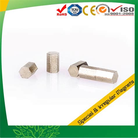 Rare Earth Special Neodymium Magnets Neodymium Magnet