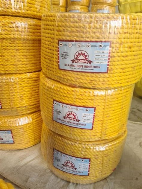 Yellow Pp Danline Rope Size Diameter Mm At Rs Kg In Dindigul