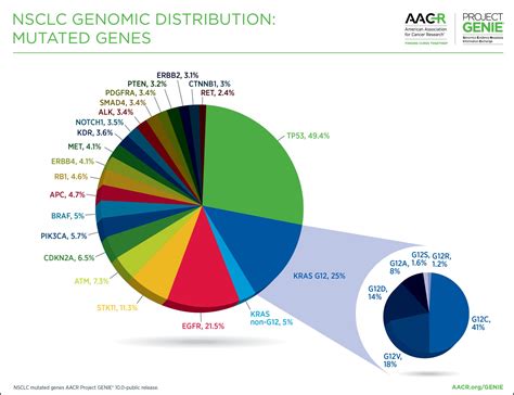 Non Small Cell Lung Cancer Project Genie Aacr