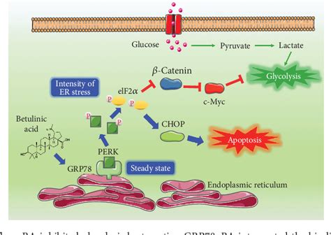 Figure From Betulinic Acid Suppresses Breast Cancer Metastasis By