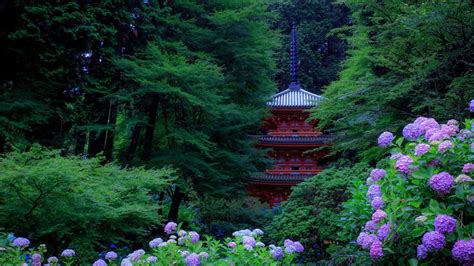 Kyoto Wallpaper (60+ pictures)