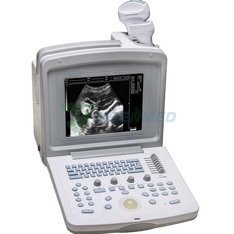 Ysb V Medical Digital Portable Veterinary Ultrasound Scanner