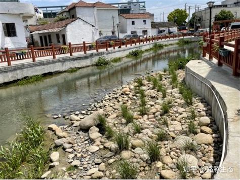 河道湿地生态治理技术 知乎