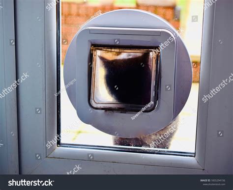 40 Icon cat flap Images, Stock Photos & Vectors | Shutterstock