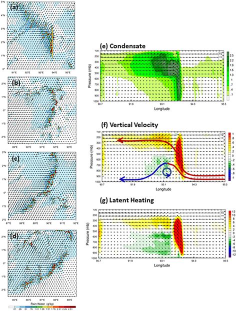 Snapshots Of Near Surface Condensate G Kg 21 And Wind Vectors M S