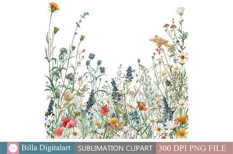 Free Wild Flowers Floral Border Clipart Graphic by BillaDigitalart ...