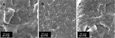 Sem Images Of The Fracture Surface Of Pet Eba Gma Blends With Constant