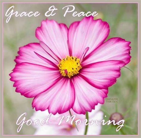 Grace And Peace Good Morning Pictures Photos And Images For Facebook